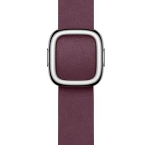 Apple Watch Modern Buckle NWT